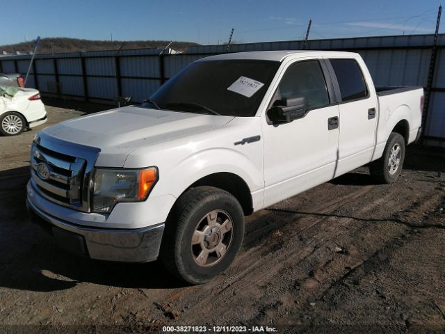 Photo 1 VIN: 1FTEW1C86AKA13658 - FORD F-150 