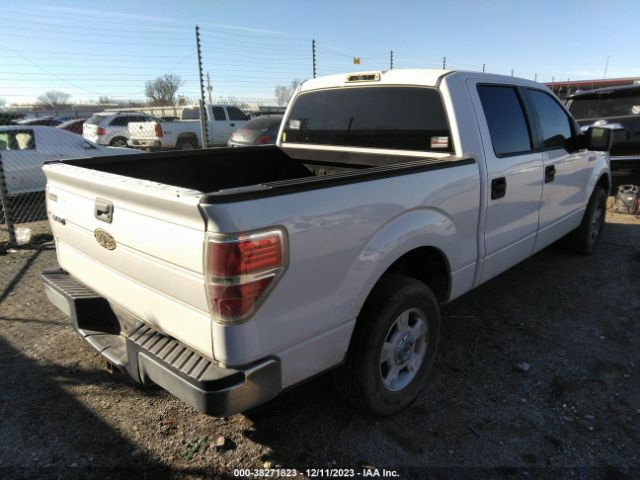 Photo 3 VIN: 1FTEW1C86AKA13658 - FORD F-150 