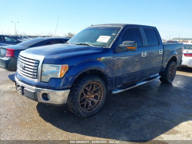 Photo 1 VIN: 1FTEW1C87AKA59404 - FORD F-150 