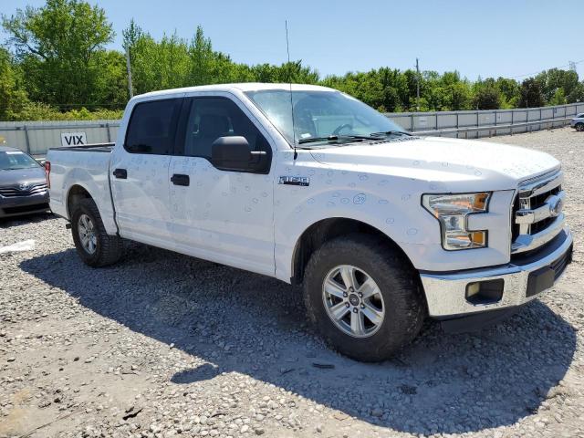 Photo 3 VIN: 1FTEW1C87GKE16136 - FORD F-150 