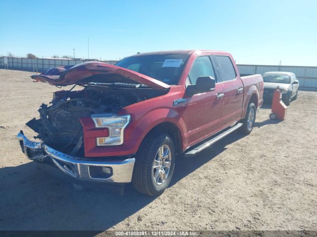 Photo 1 VIN: 1FTEW1C88HKD78160 - FORD F-150 