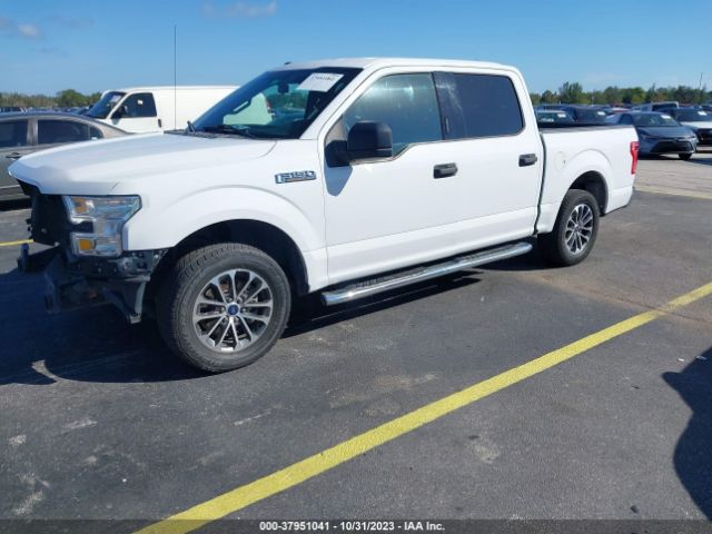 Photo 1 VIN: 1FTEW1C89HFC04381 - FORD F-150 