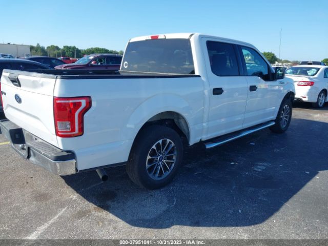 Photo 3 VIN: 1FTEW1C89HFC04381 - FORD F-150 