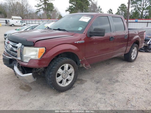 Photo 1 VIN: 1FTEW1C8XAFB49137 - FORD F-150 