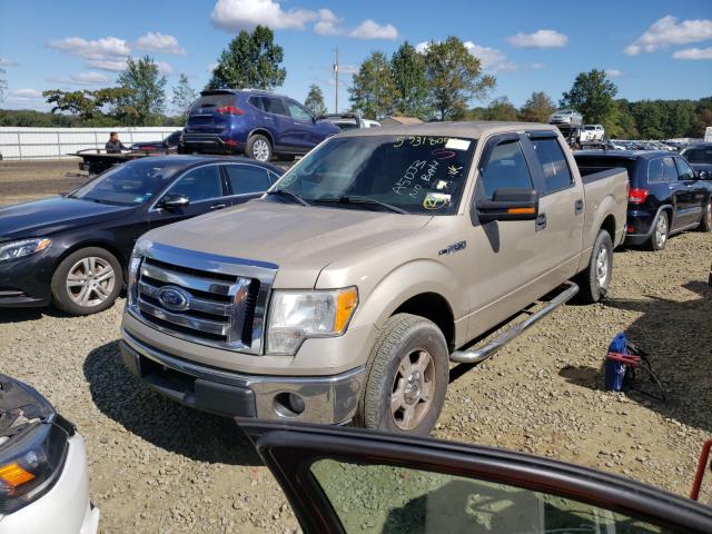 Photo 1 VIN: 1FTEW1C8XAKE72157 - FORD F150 SUPER 