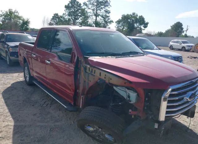 Photo 5 VIN: 1FTEW1C8XFKE70562 - FORD F-150 