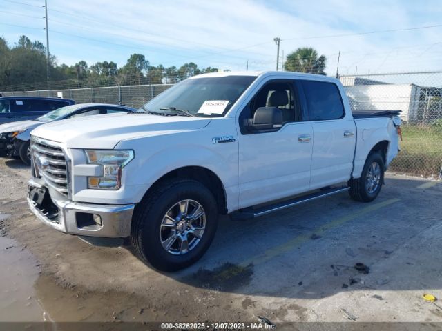 Photo 1 VIN: 1FTEW1C8XGKE07172 - FORD F-150 