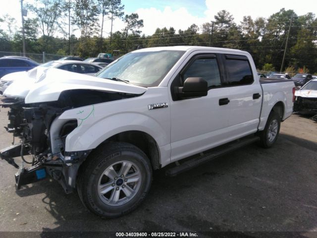 Photo 1 VIN: 1FTEW1CBXKFA64263 - FORD F-150 