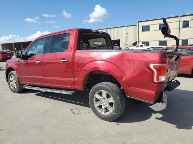 Photo 1 VIN: 1FTEW1CF1GKD21599 - FORD F150 SUPER 