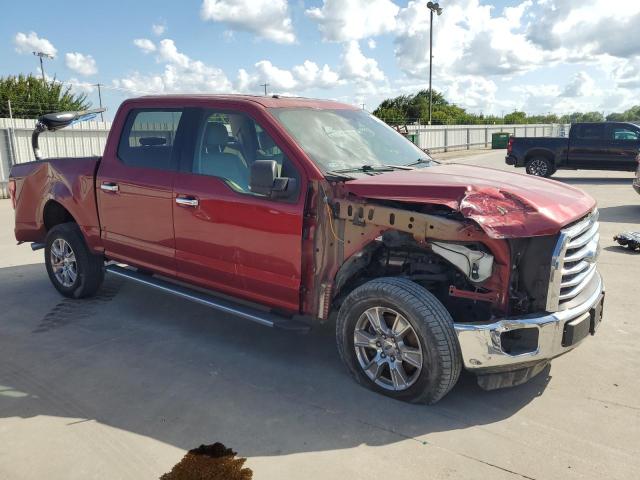 Photo 3 VIN: 1FTEW1CF1GKD21599 - FORD F150 SUPER 