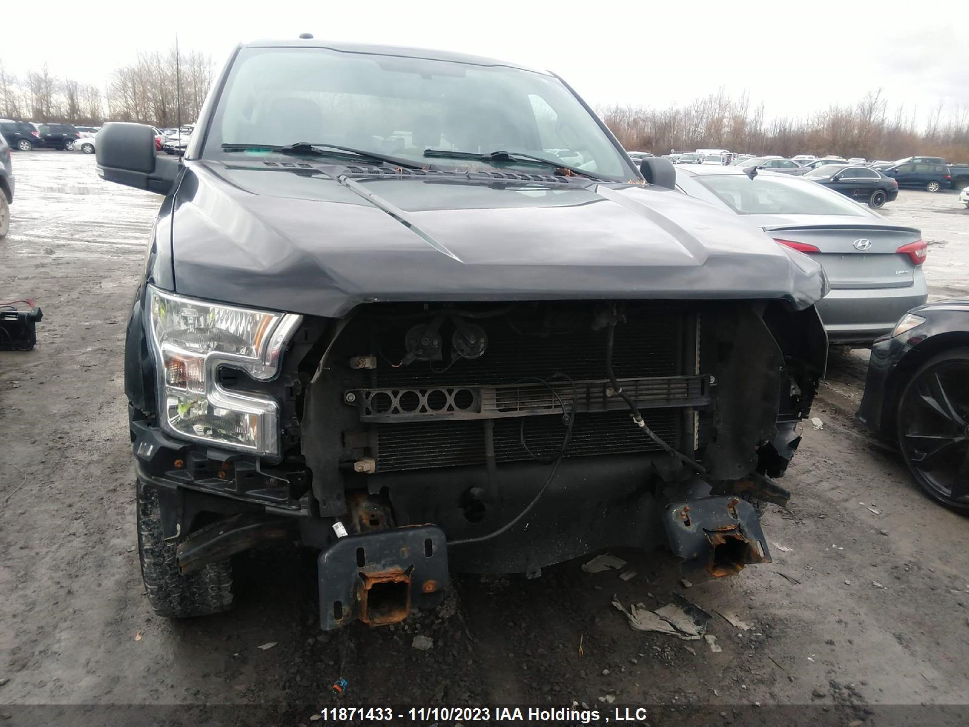 Photo 5 VIN: 1FTEW1CF1HFC62936 - FORD F-150 