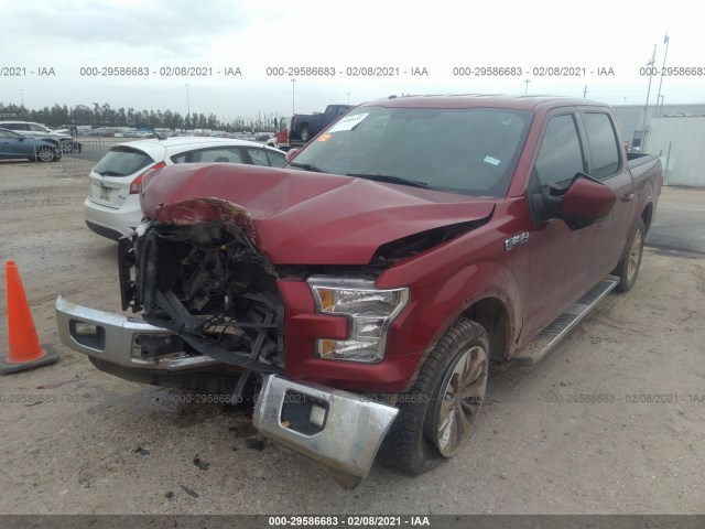 Photo 1 VIN: 1FTEW1CF2FKD95175 - FORD F-150 