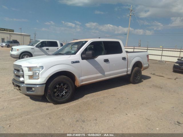 Photo 1 VIN: 1FTEW1CF4FKD83187 - FORD F-150 