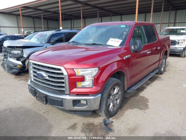 Photo 1 VIN: 1FTEW1CF4FKE20626 - FORD F-150 