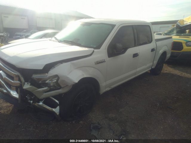 Photo 1 VIN: 1FTEW1CF4GFA87841 - FORD F-150 