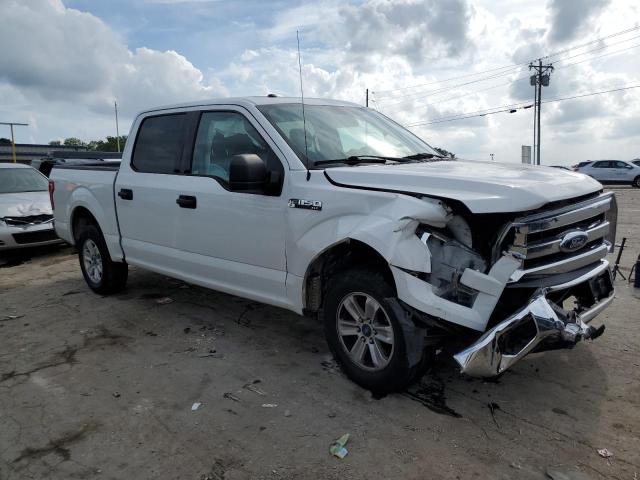 Photo 3 VIN: 1FTEW1CF4GFC59804 - FORD F150 SUPER 