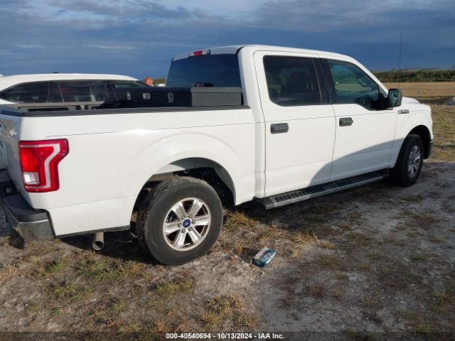 Photo 3 VIN: 1FTEW1CF5GFA15563 - FORD F-150 