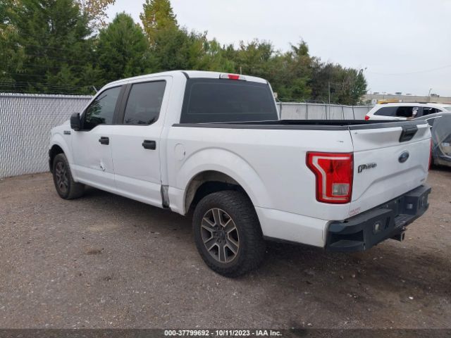 Photo 2 VIN: 1FTEW1CF8GKF89503 - FORD F-150 