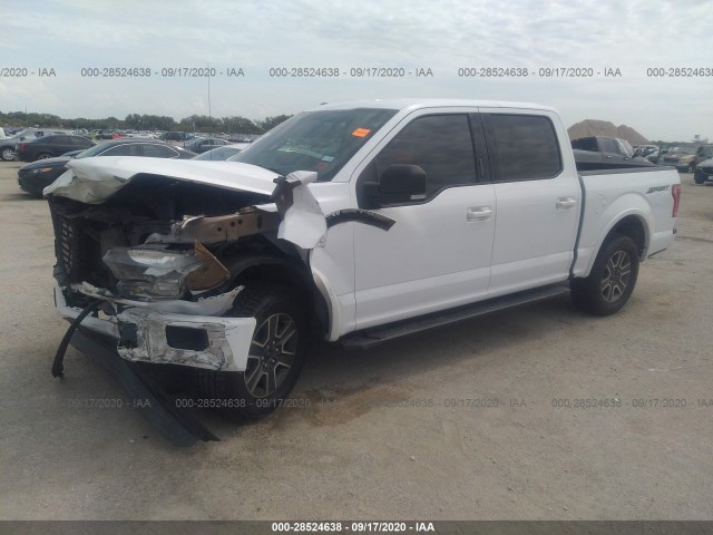 Photo 1 VIN: 1FTEW1CFXFKD33703 - FORD F-150 