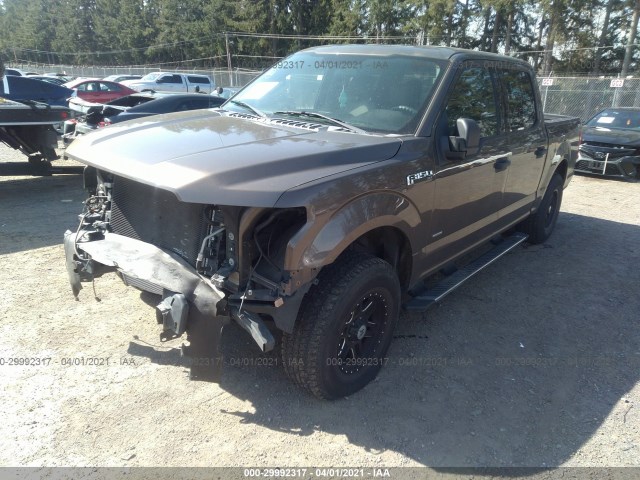 Photo 1 VIN: 1FTEW1CG0FFA41074 - FORD F-150 