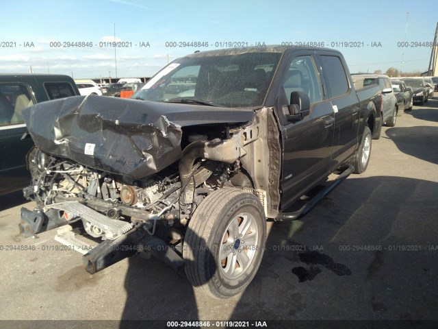 Photo 1 VIN: 1FTEW1CG0HKC92249 - FORD F-150 