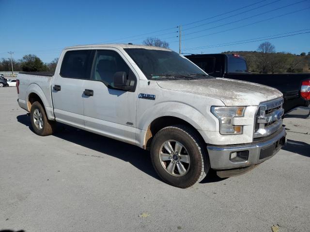 Photo 3 VIN: 1FTEW1CG1GFA87420 - FORD F150 SUPER 