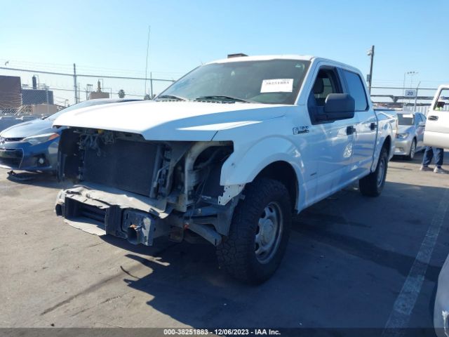 Photo 1 VIN: 1FTEW1CG5FKD21421 - FORD F-150 