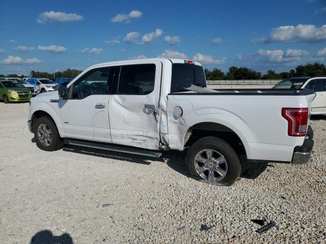 Photo 1 VIN: 1FTEW1CG5GKF46522 - FORD F150 SUPER 