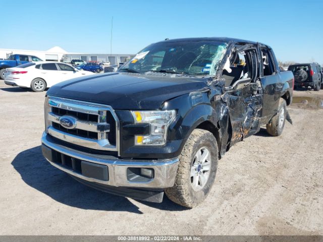 Photo 1 VIN: 1FTEW1CG5HFA76213 - FORD F-150 