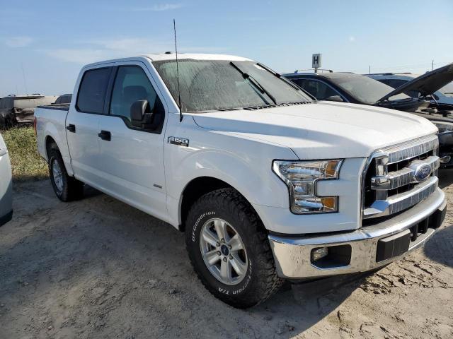 Photo 3 VIN: 1FTEW1CG5HKD74865 - FORD F150 SUPER 