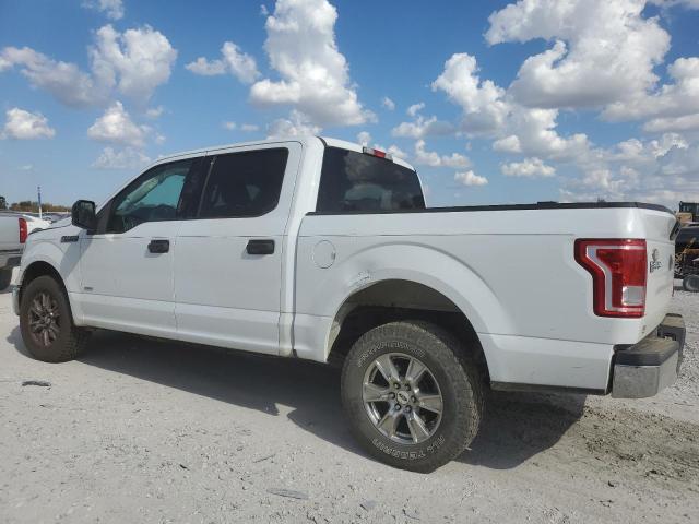 Photo 1 VIN: 1FTEW1CG8FKD02815 - FORD F150 SUPER 