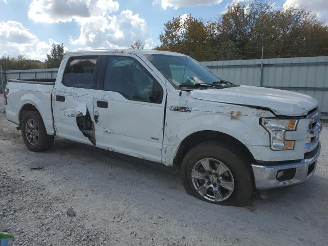 Photo 3 VIN: 1FTEW1CG8FKD02815 - FORD F150 SUPER 