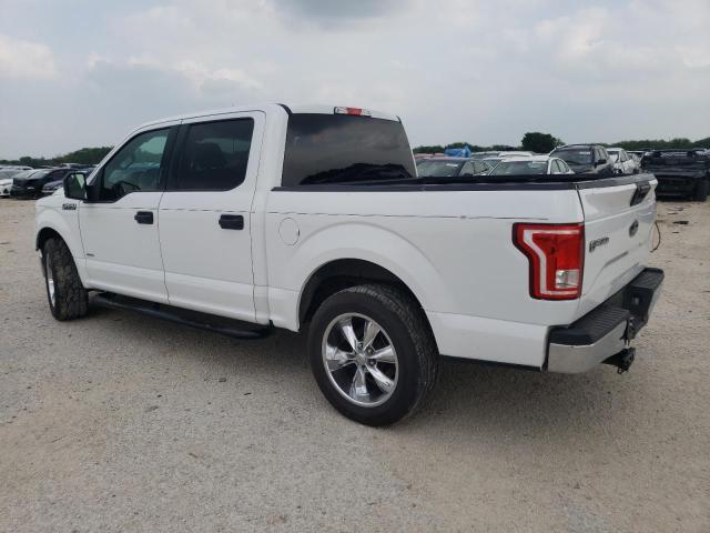 Photo 1 VIN: 1FTEW1CG8FKD37824 - FORD F-150 