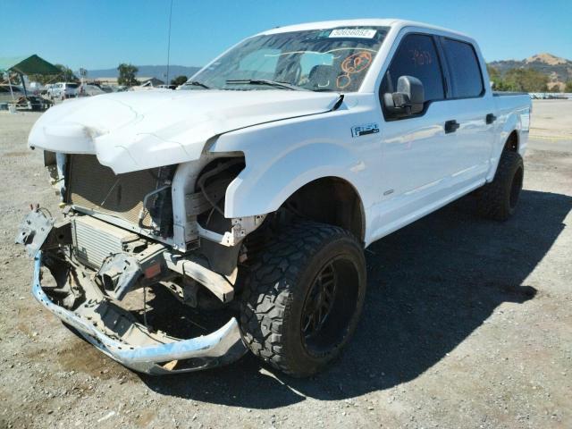 Photo 1 VIN: 1FTEW1CG9GKD79436 - FORD F150 SUPER 