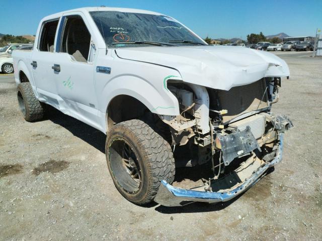 Photo 8 VIN: 1FTEW1CG9GKD79436 - FORD F150 SUPER 