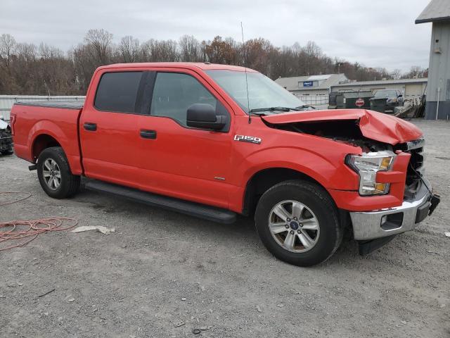 Photo 3 VIN: 1FTEW1CGXHKD00812 - FORD F150 SUPER 