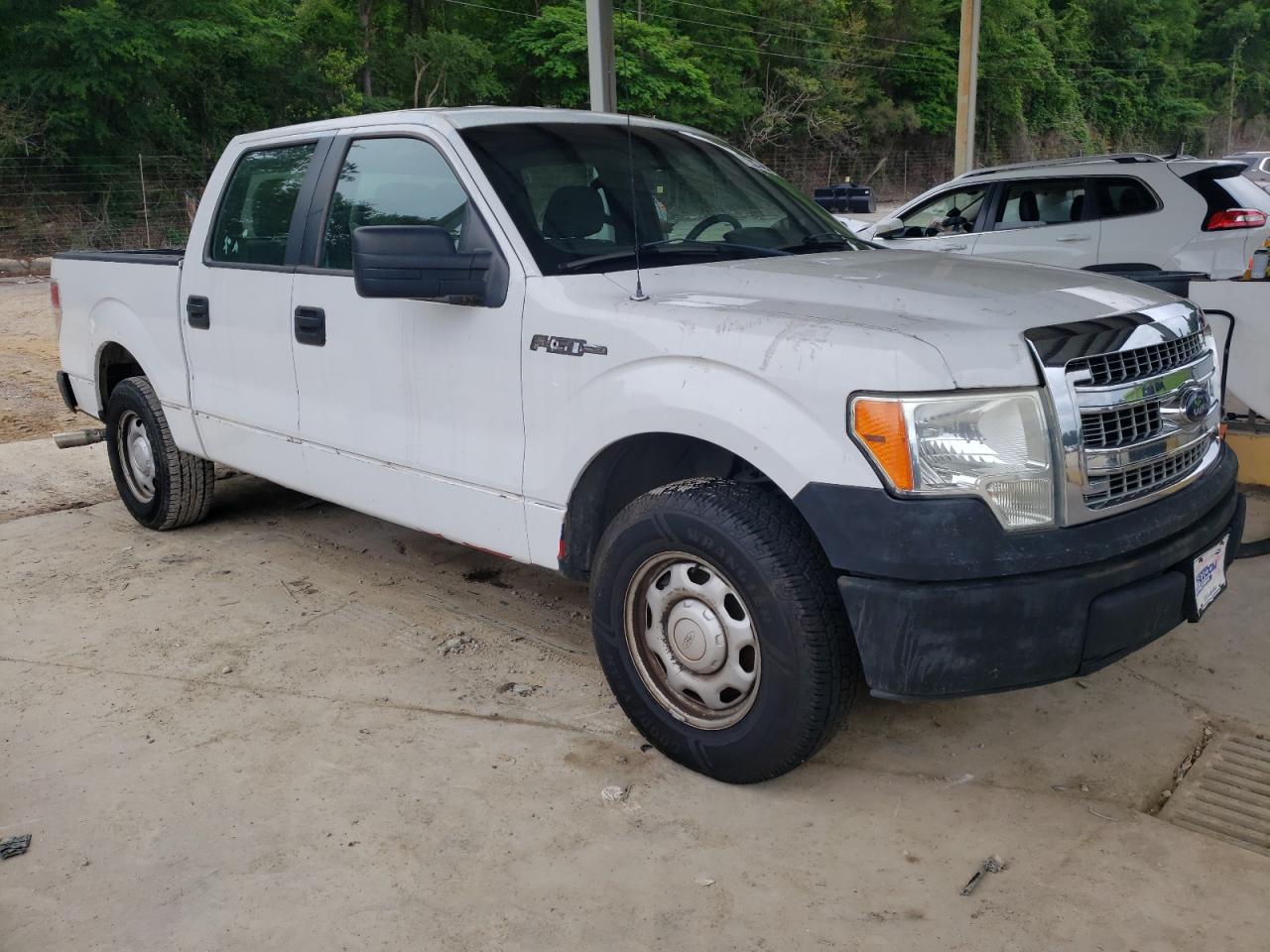 Photo 3 VIN: 1FTEW1CM0DFA93856 - FORD F-150 