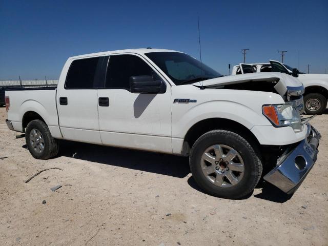 Photo 3 VIN: 1FTEW1CM0DKE16584 - FORD F150 SUPER 