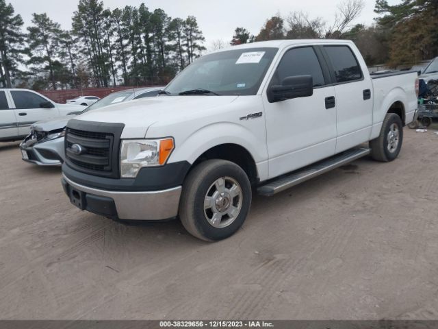 Photo 1 VIN: 1FTEW1CM0EFB69142 - FORD F-150 