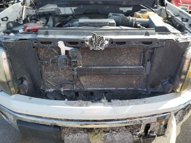 Photo 10 VIN: 1FTEW1CM1BFD03572 - FORD F150 SUPER 