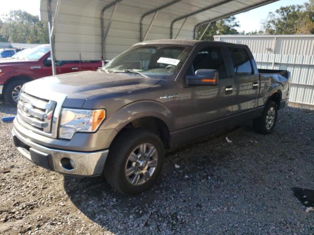 Photo 0 VIN: 1FTEW1CM1BKD99162 - FORD F150 SUPER 