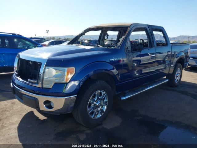 Photo 1 VIN: 1FTEW1CM2BFC93876 - FORD F150 