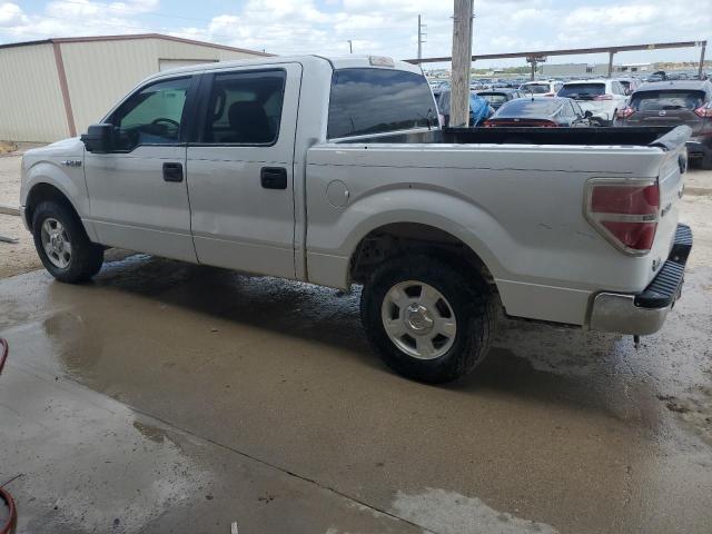 Photo 1 VIN: 1FTEW1CM2DFB75376 - FORD F150 SUPER 