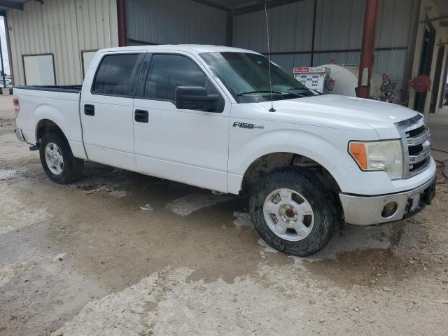 Photo 3 VIN: 1FTEW1CM2DFB75376 - FORD F150 SUPER 