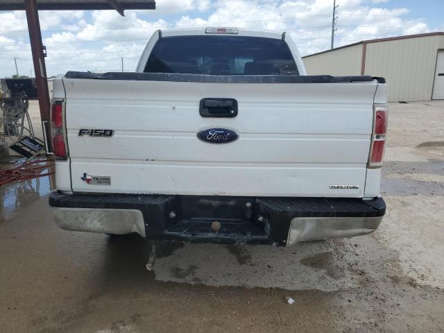 Photo 5 VIN: 1FTEW1CM2DFB75376 - FORD F150 SUPER 