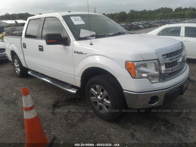 Photo 0 VIN: 1FTEW1CM2DFD22358 - FORD F-150 