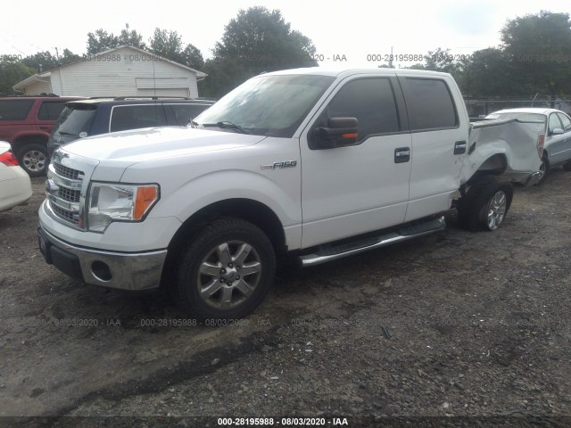 Photo 1 VIN: 1FTEW1CM2DFD22358 - FORD F-150 