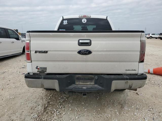 Photo 5 VIN: 1FTEW1CM2DKG46420 - FORD F-150 