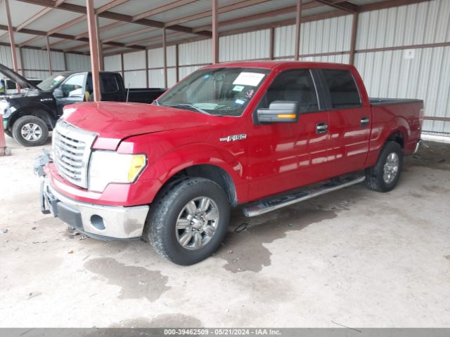 Photo 1 VIN: 1FTEW1CM3CKD29440 - FORD F150 