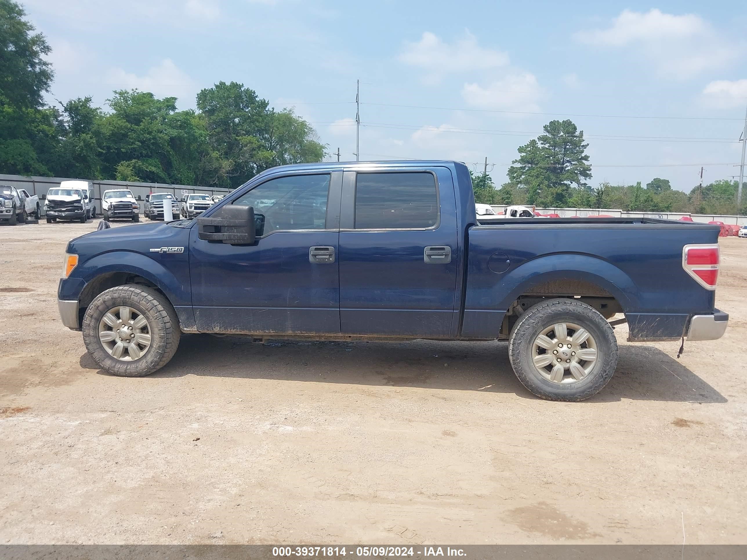 Photo 13 VIN: 1FTEW1CM3DKE21813 - FORD F-150 